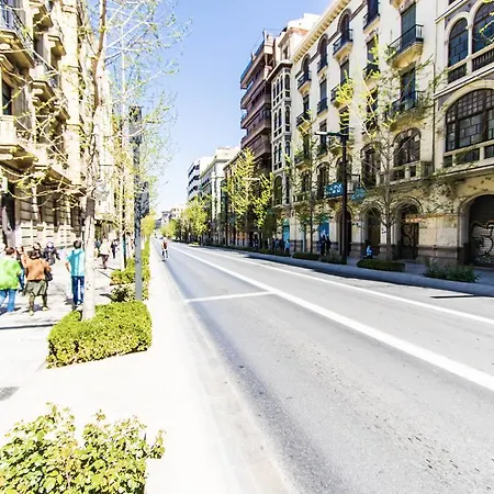 Completo Boqueron De Appartement *